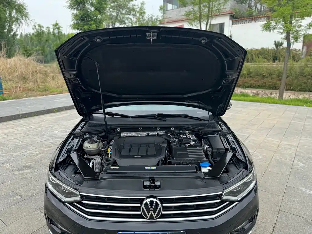 VOLKSWAGEN MAGOTAN 2021