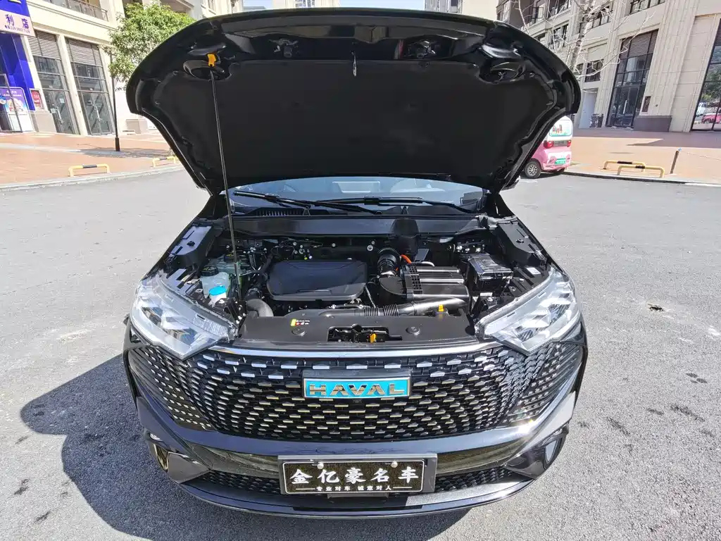 HAVAL H6 NEW ENERGY 2022
