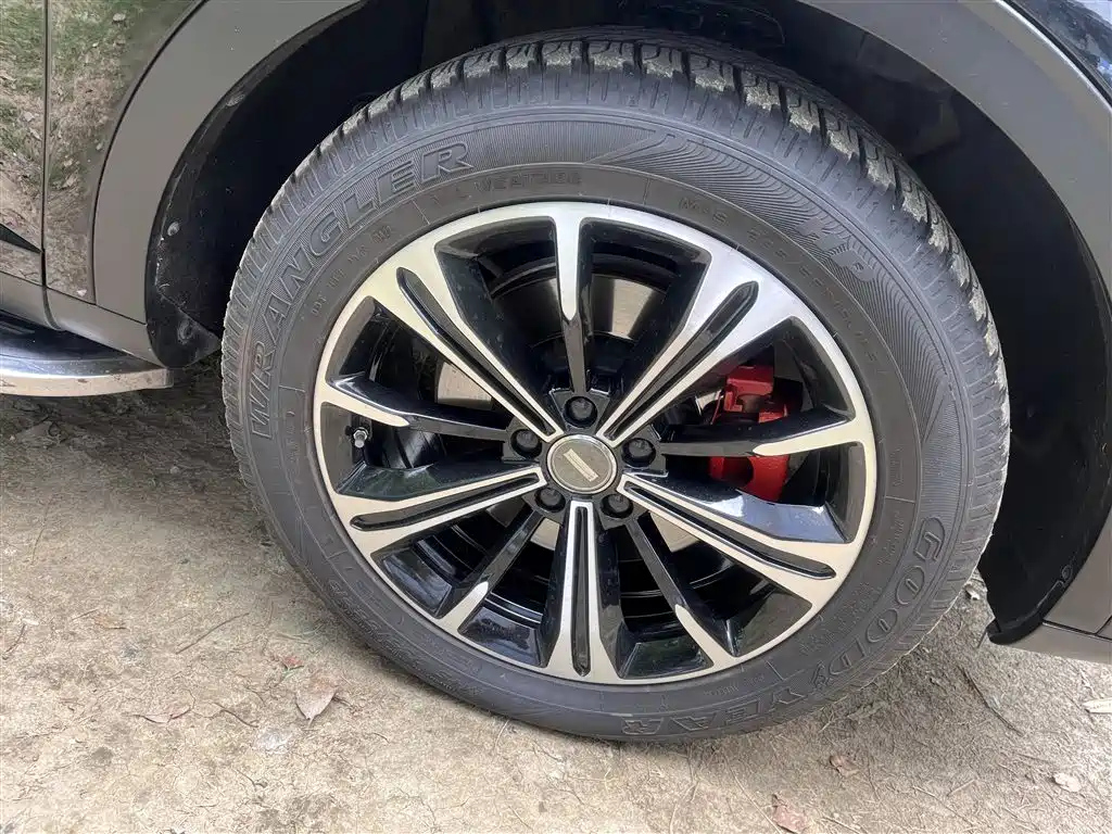 WEY VV6 2020