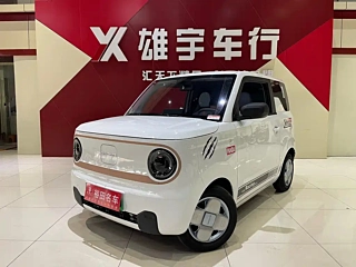 GEELY AUTO PANDA  2023 YEAR PANDA MINI 120KM 2023