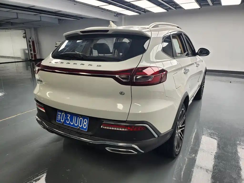 LEOPAARD MATTU 2019