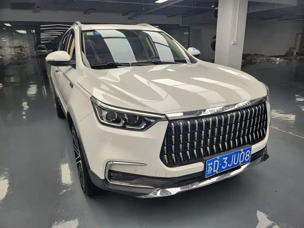 LEOPAARD MATTU 2019