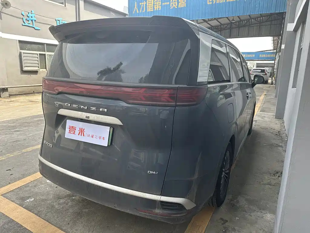 DENZA D9 2024