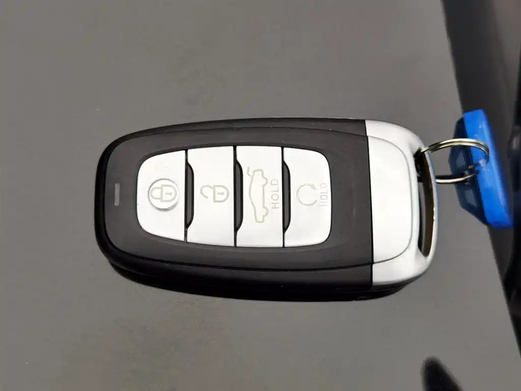 HONGQI H5 2021