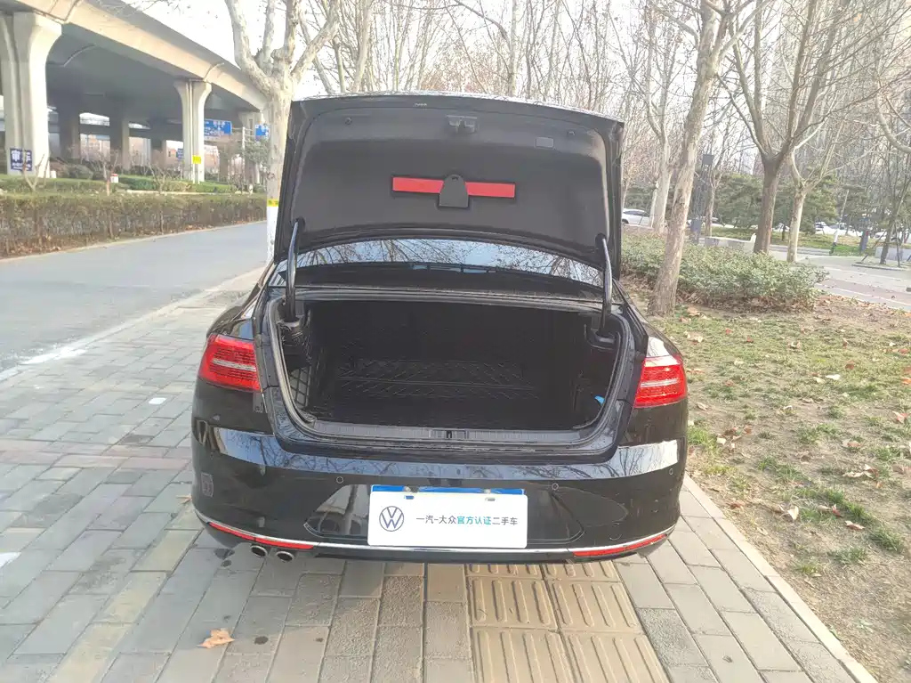 VOLKSWAGEN MAGOTAN 2020
