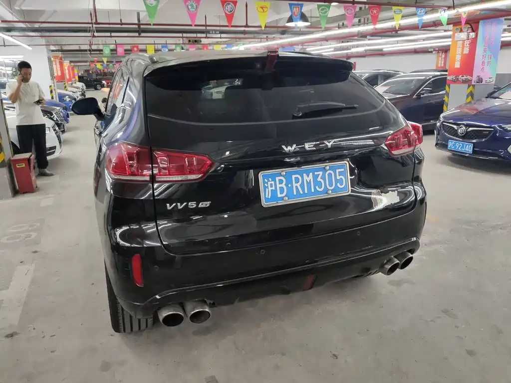 WEY VV5 2017