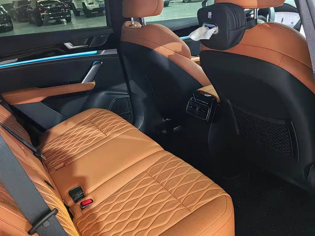 BYD TANG NEW ENERGY 2023