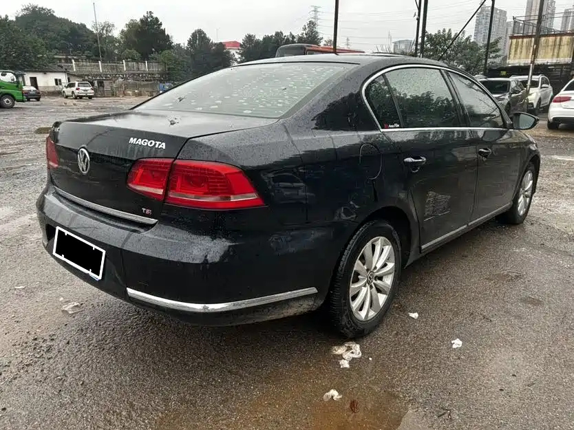 VOLKSWAGEN MAGOTAN 2013