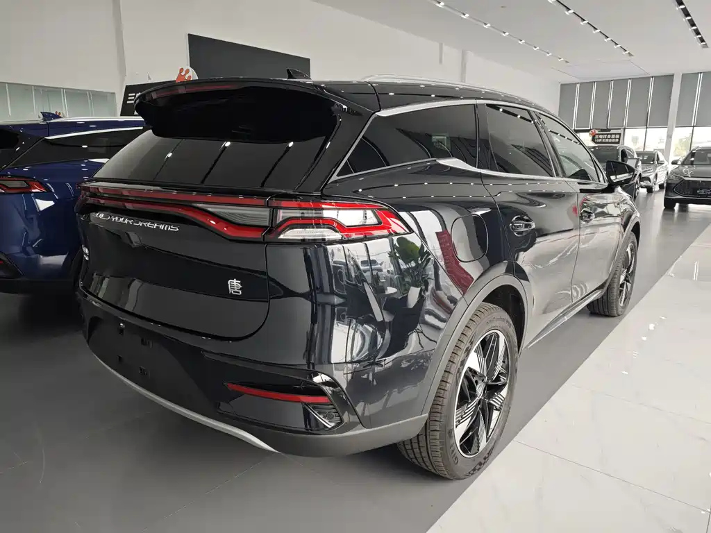 BYD TANG NEW ENERGY 2024