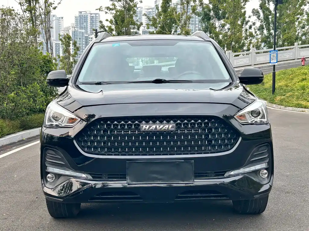 HAVAL M6 2019