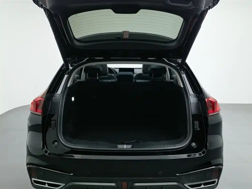 WEY VV5 2021