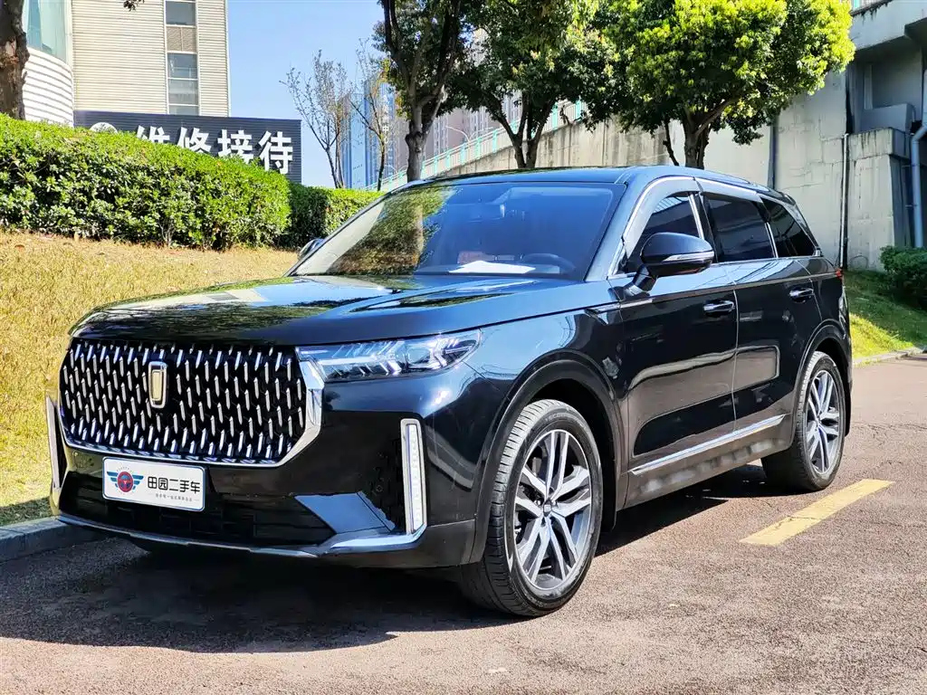 Аукционный лист BESTURN T99 2021