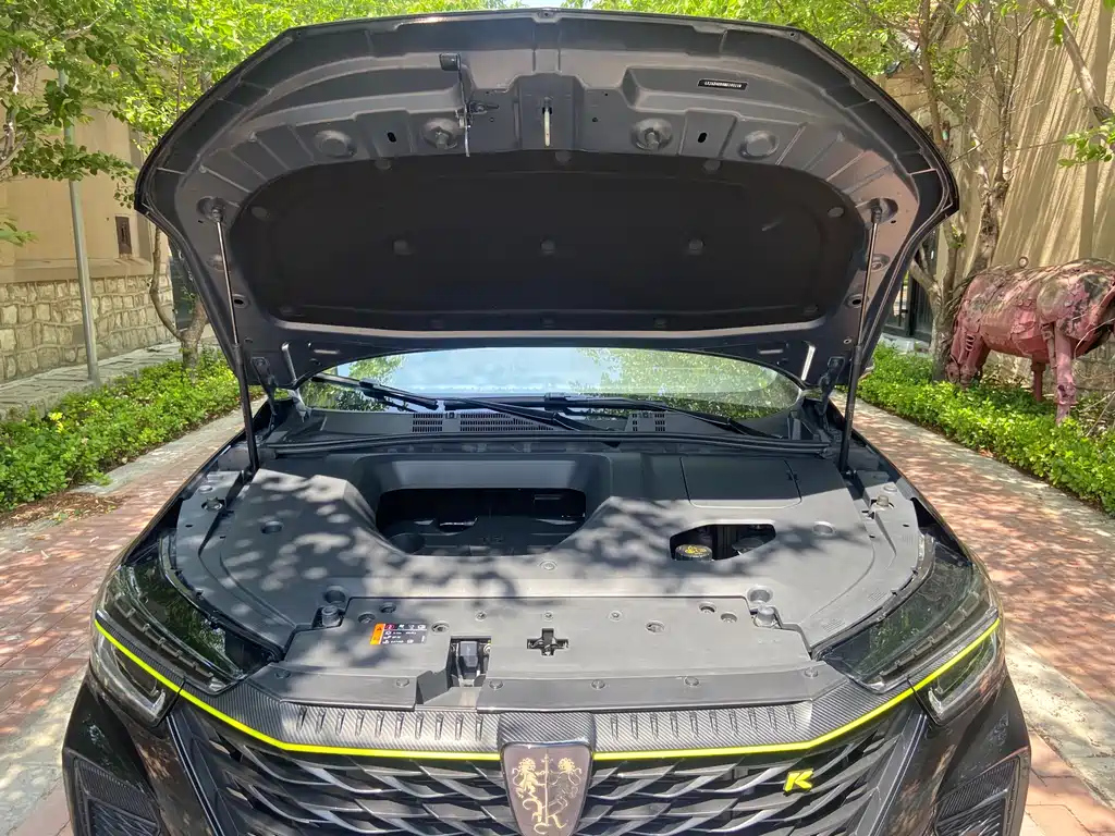 ROEWE RX5 2022