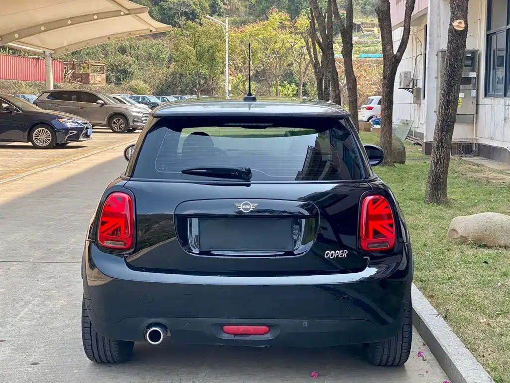 MINI OTHER 2021