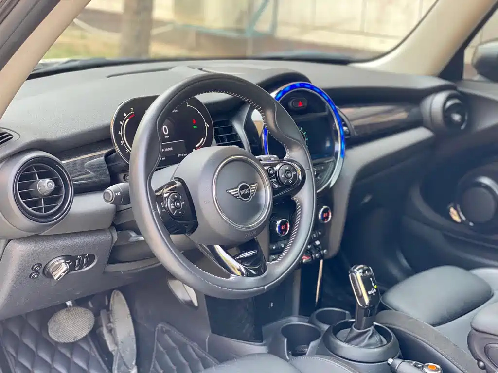 MINI OTHER 2021