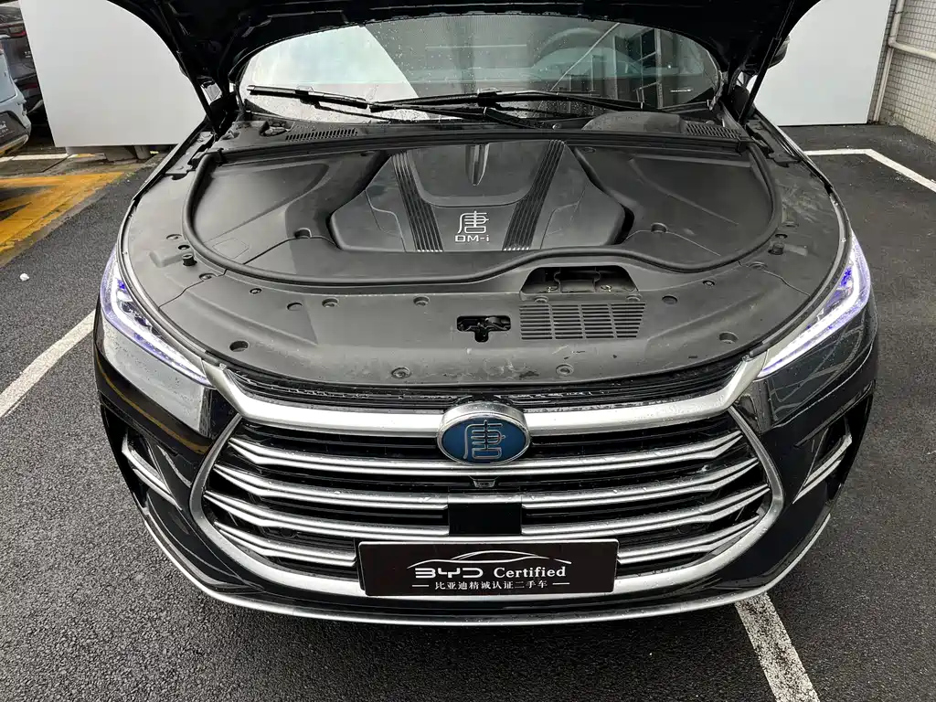 BYD TANG NEW ENERGY 2024