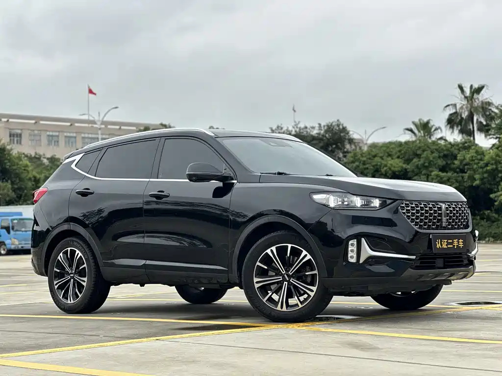 WEY VV6 2020