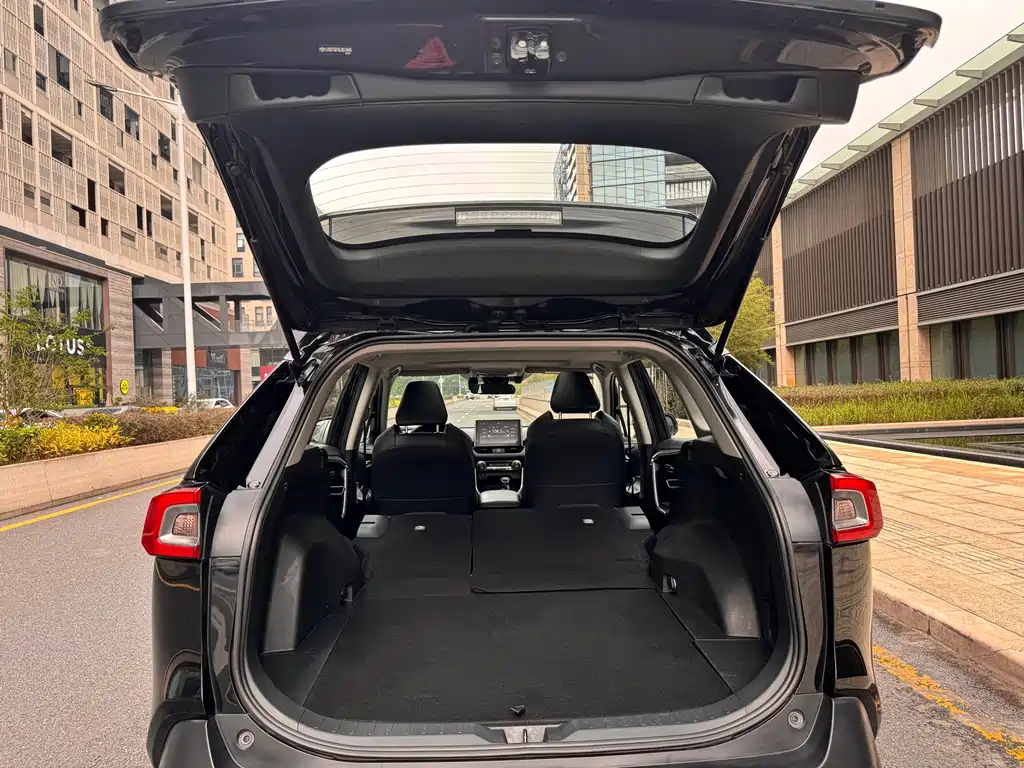 TOYOTA WILDLANDER 2021