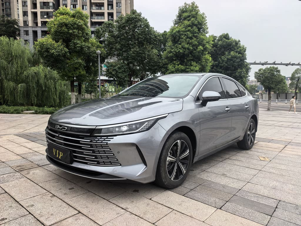 BYD DESTROYER 05 2022