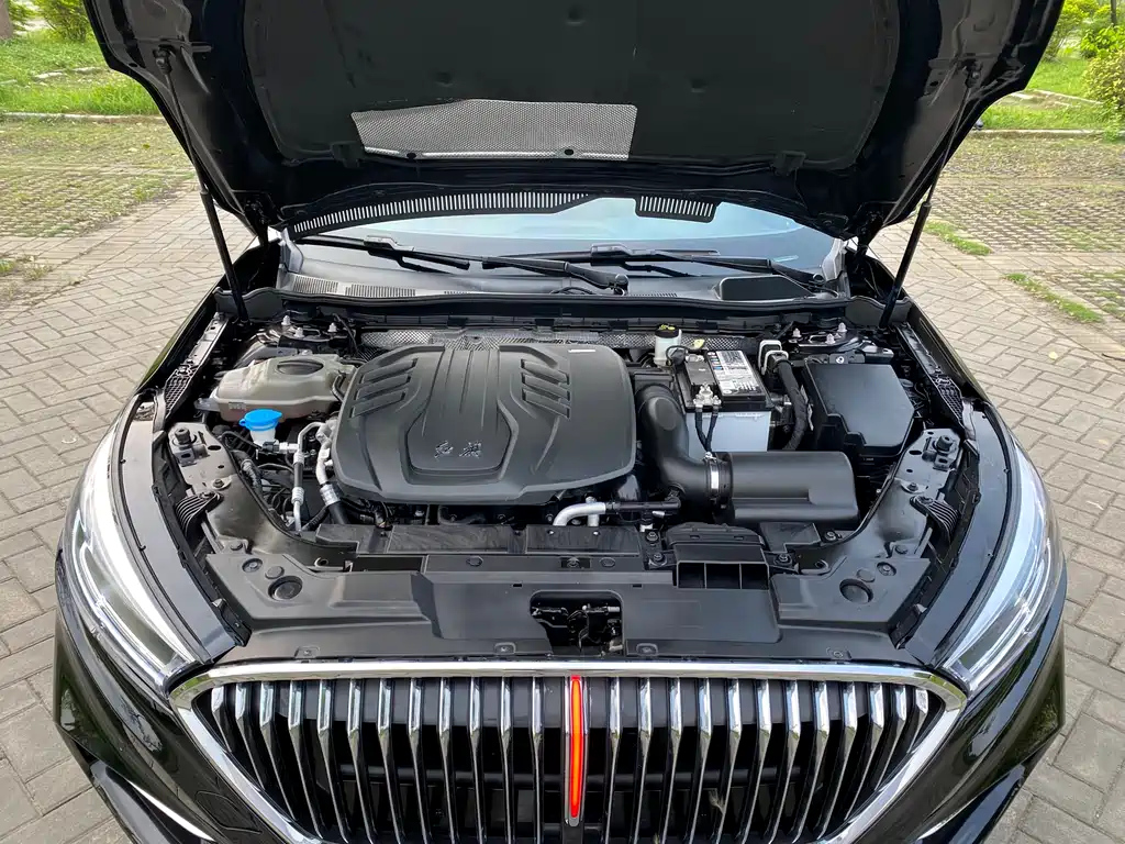 HONGQI H5 2021