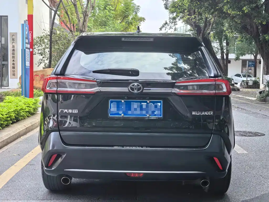 TOYOTA WILDLANDER 2022
