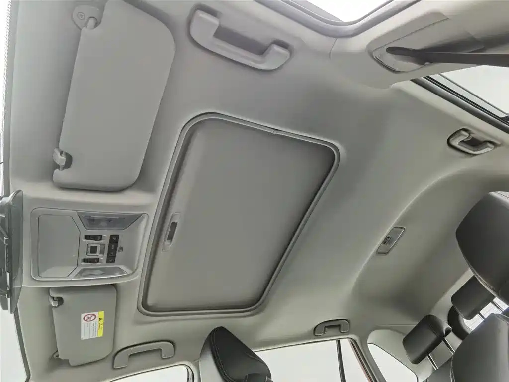 TOYOTA WILDLANDER 2022