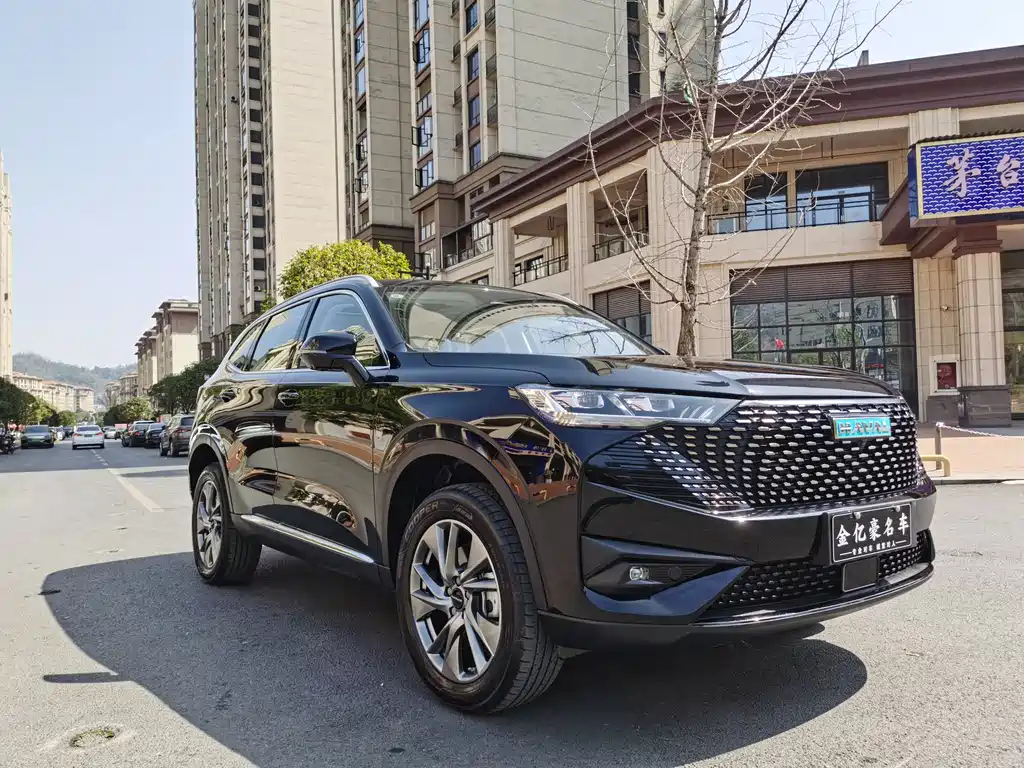 HAVAL H6 NEW ENERGY 2022