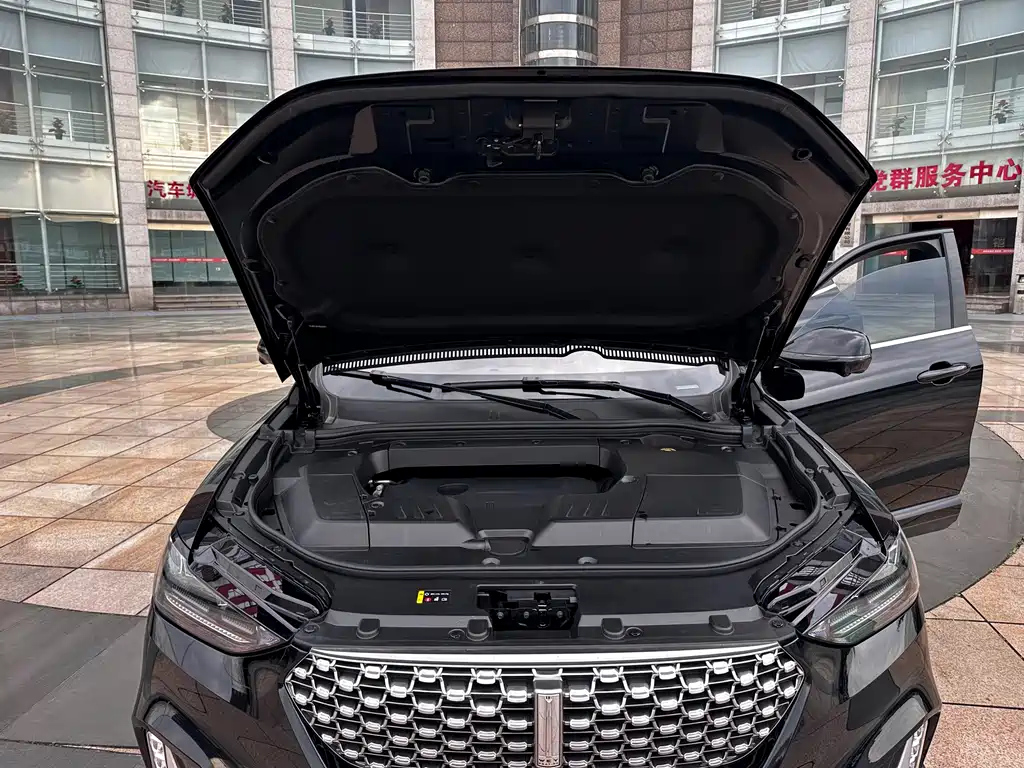 WEY VV6 2020