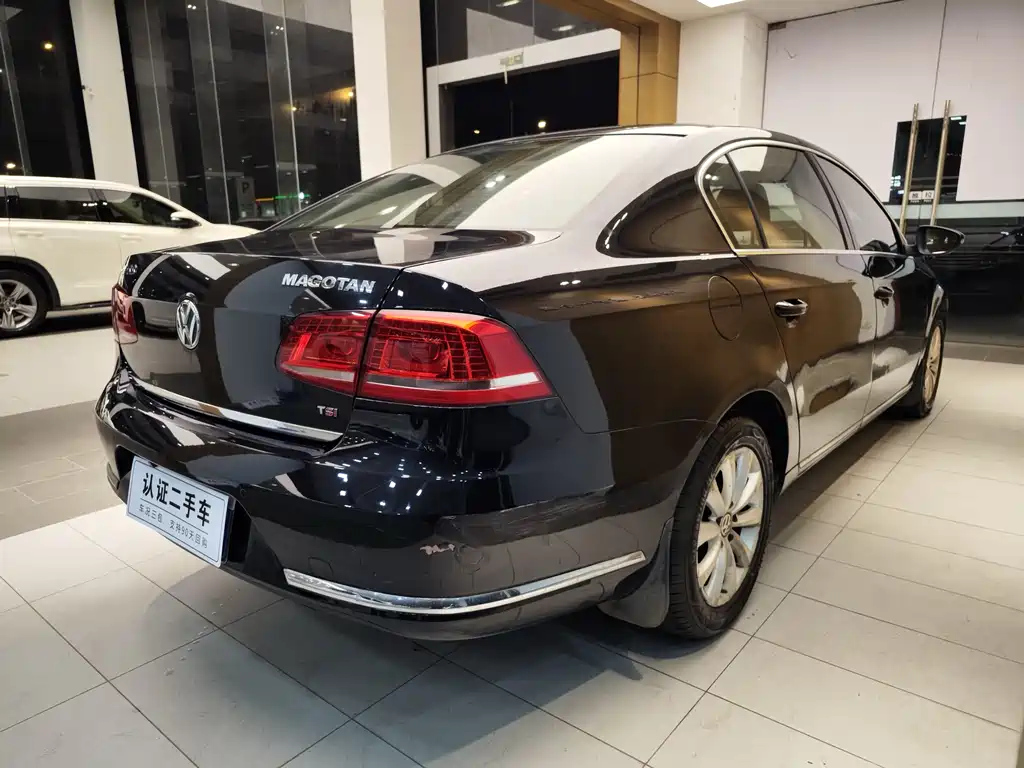 VOLKSWAGEN MAGOTAN 2013