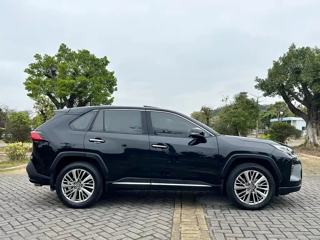 TOYOTA WILDLANDER 2020
