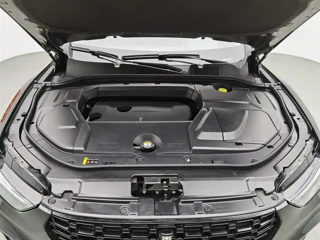 WEY VV5 2019
