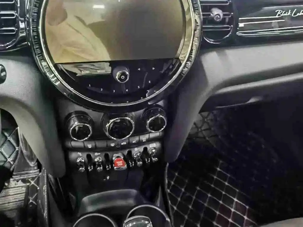 MINI OTHER 2022