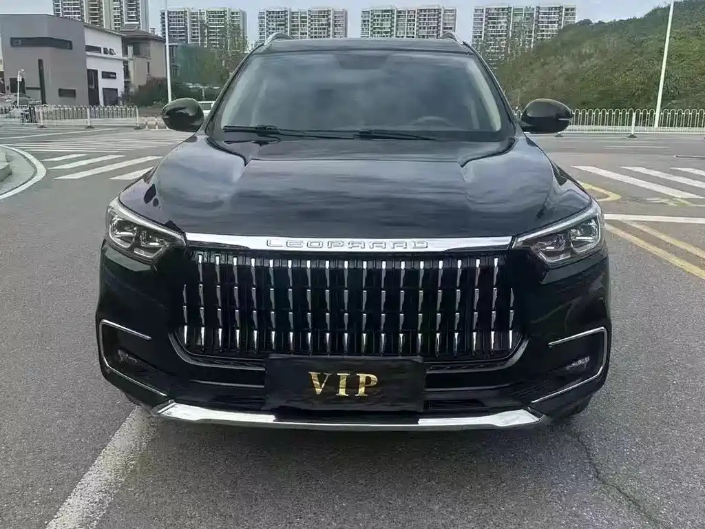 LEOPAARD MATTU 2019