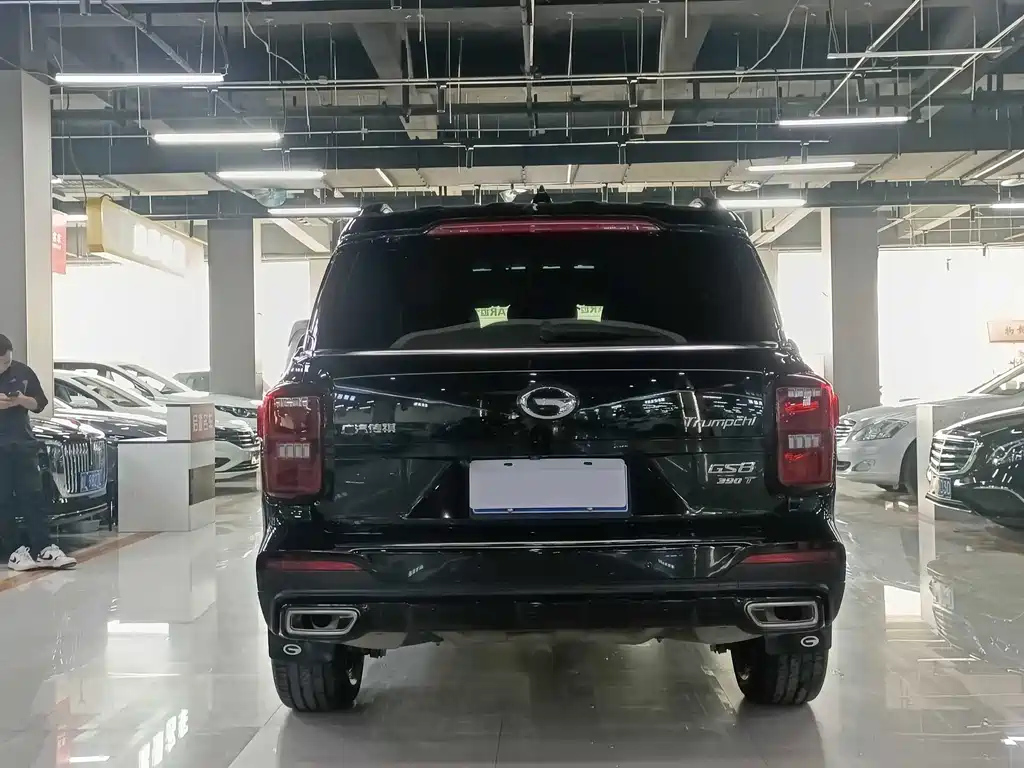 TRUMPCHI GS8 2021