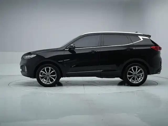 WEY VV6 2019