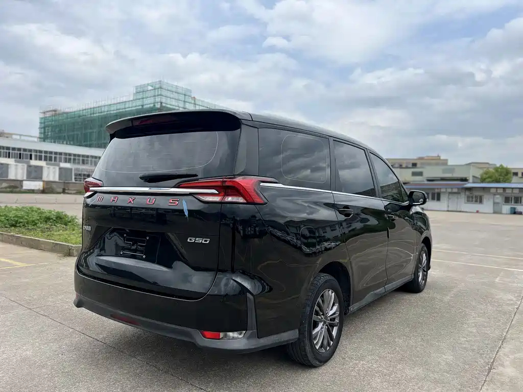 MAXUS OTHER 2019