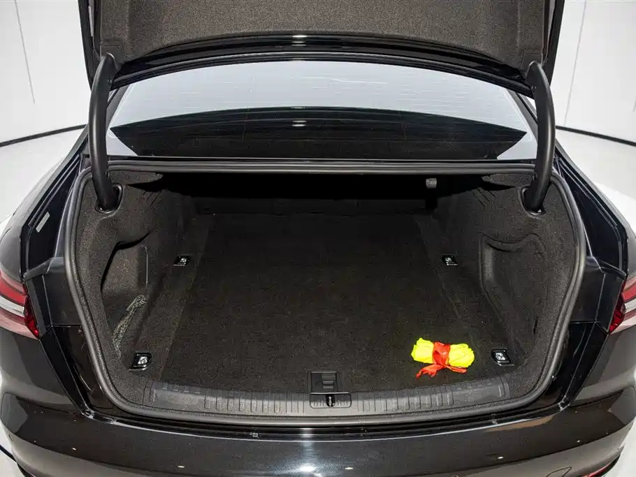 AUDI A6L 2021