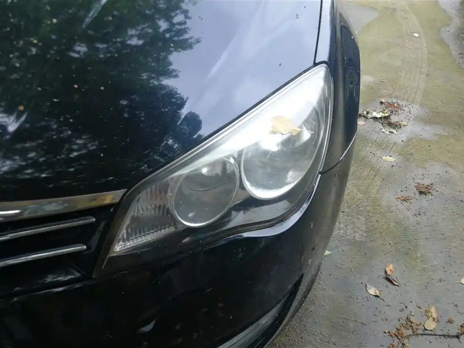 ROEWE 350 2013