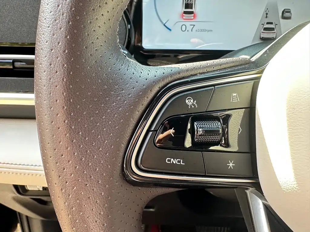 GEELY AUTO MONJARO 2022