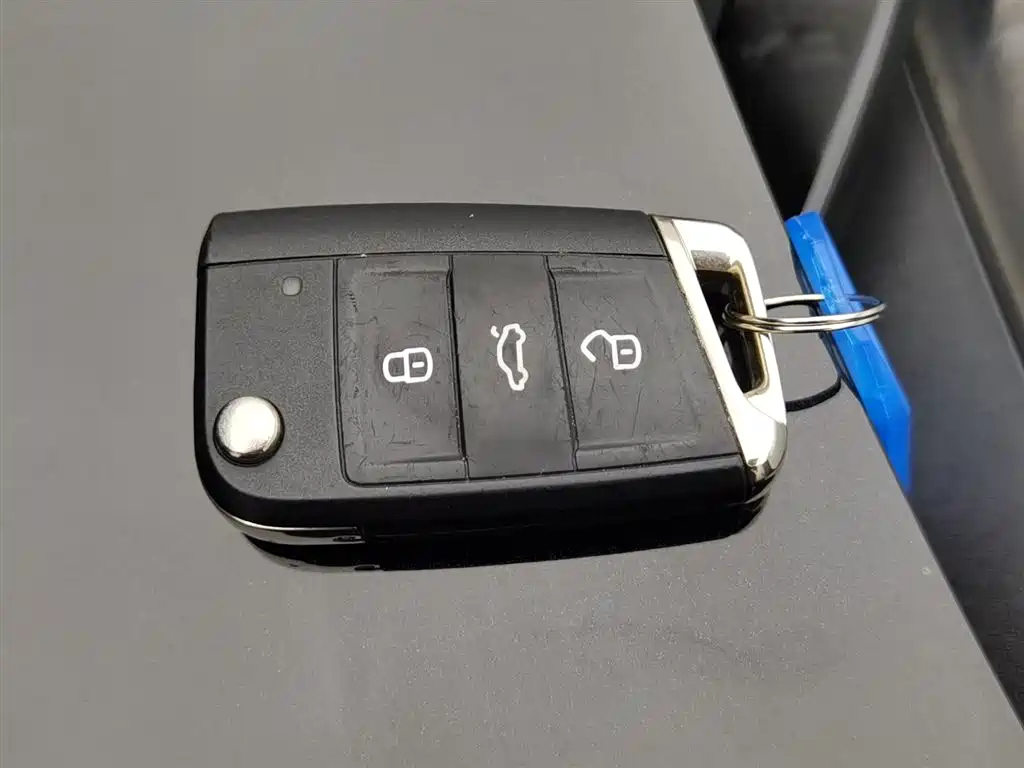 VOLKSWAGEN LAVIDA 2019