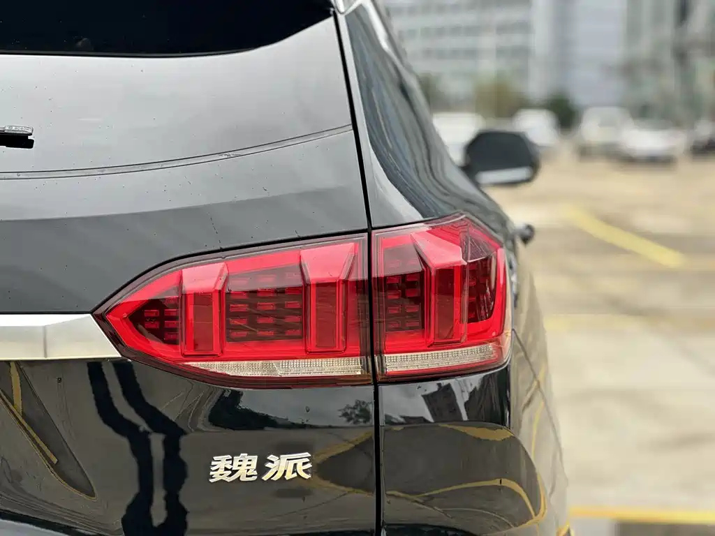 WEY VV6 2020