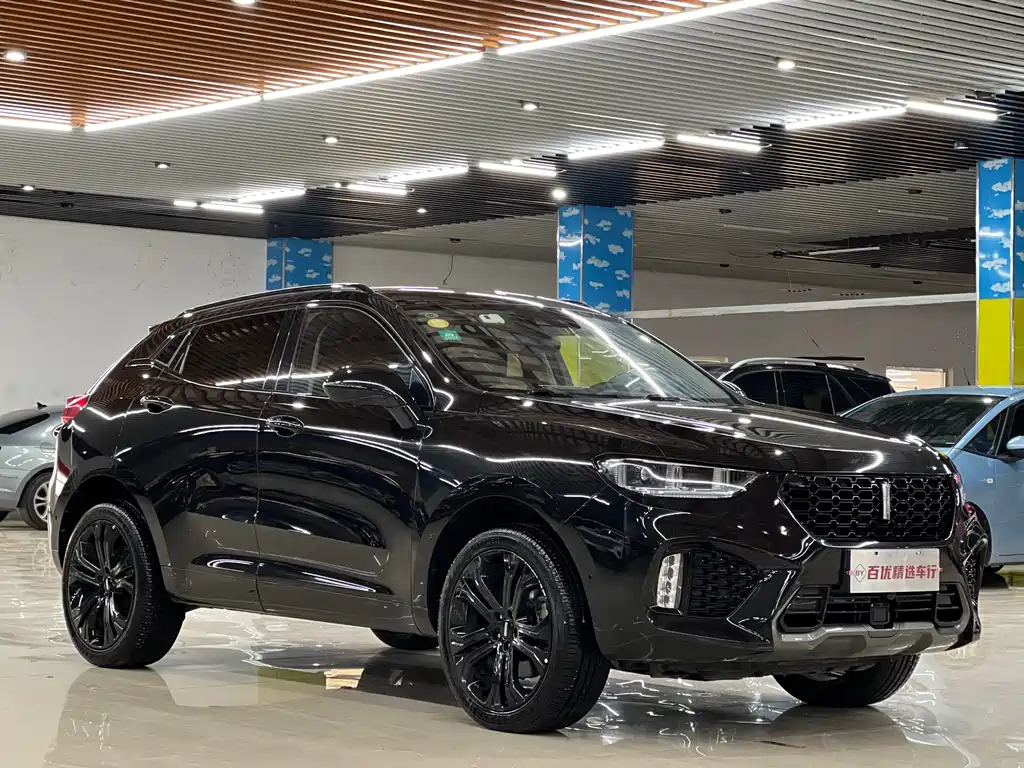 WEY VV5 2017