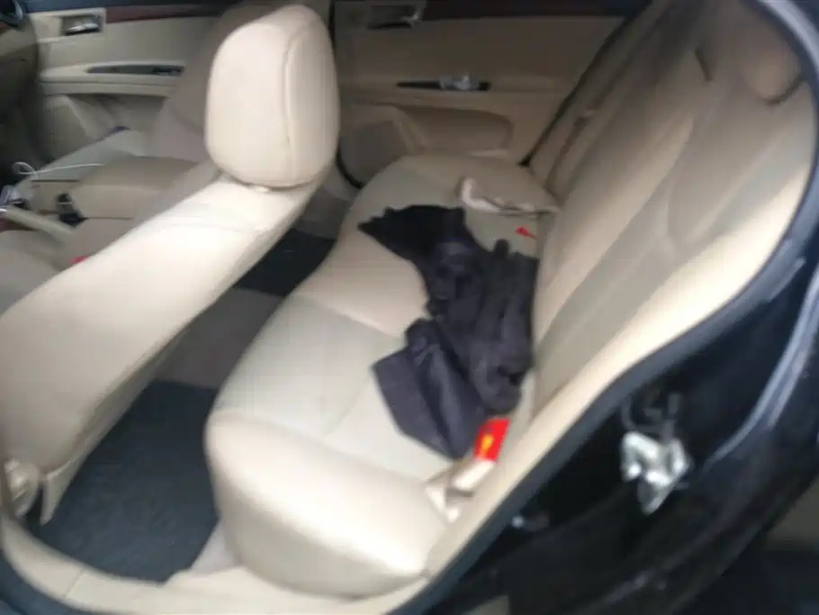 ROEWE 350 2013