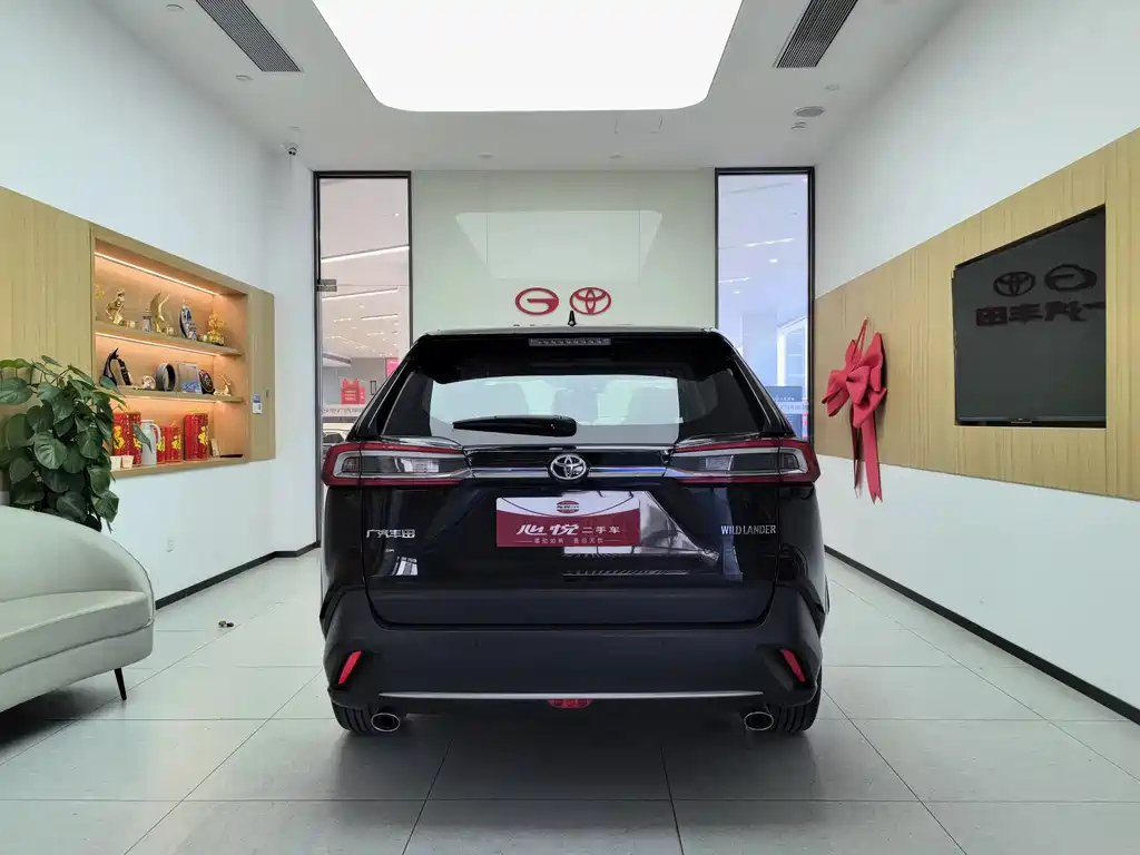 TOYOTA WILDLANDER 2021