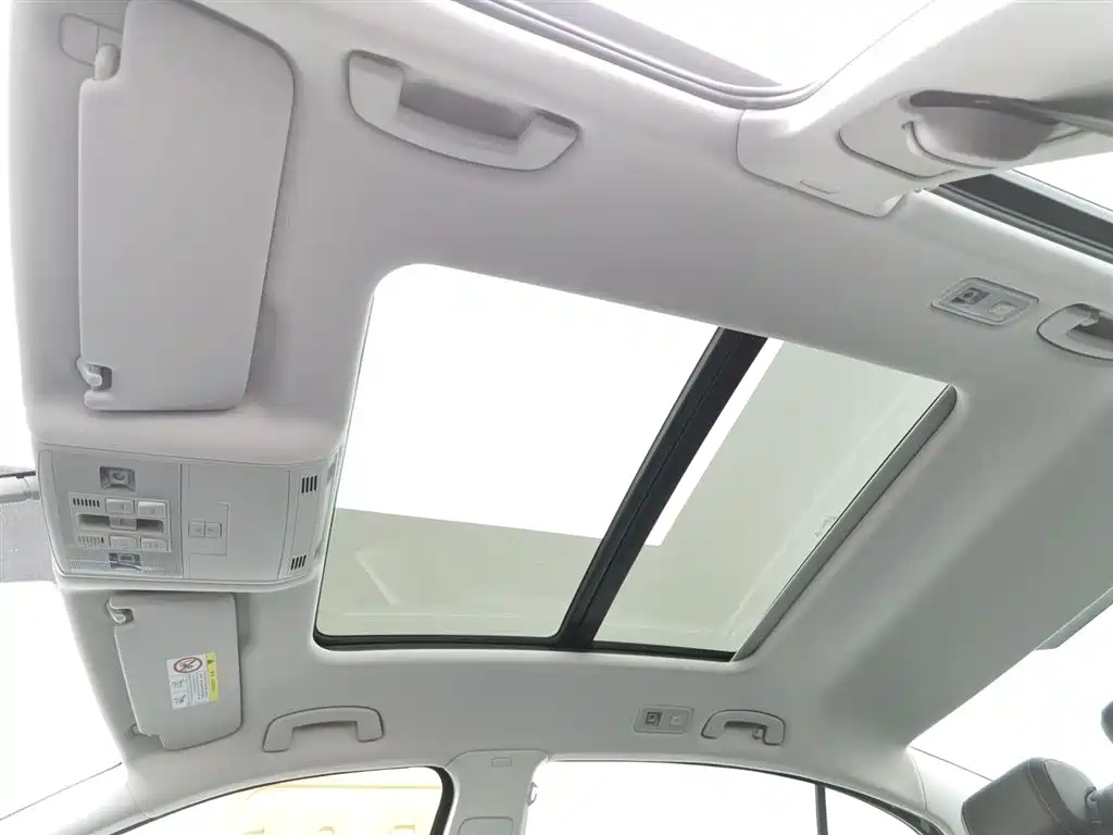 VOLKSWAGEN MAGOTAN 2021