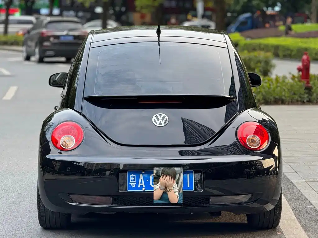 VOLKSWAGEN BEETLE 2009