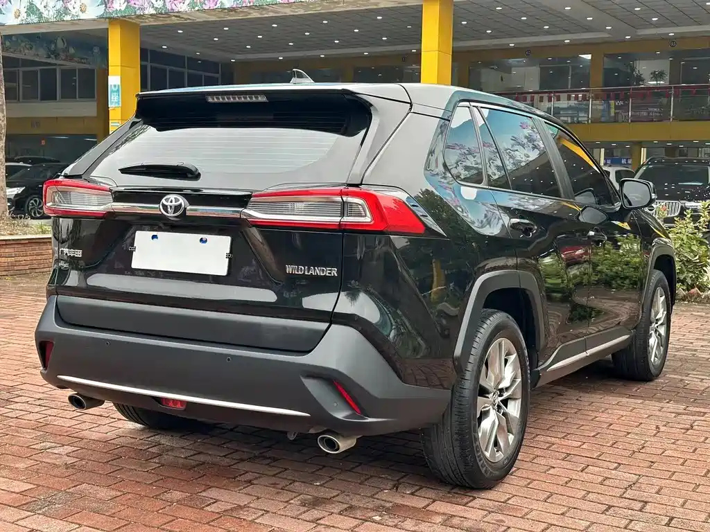 TOYOTA WILDLANDER 2021