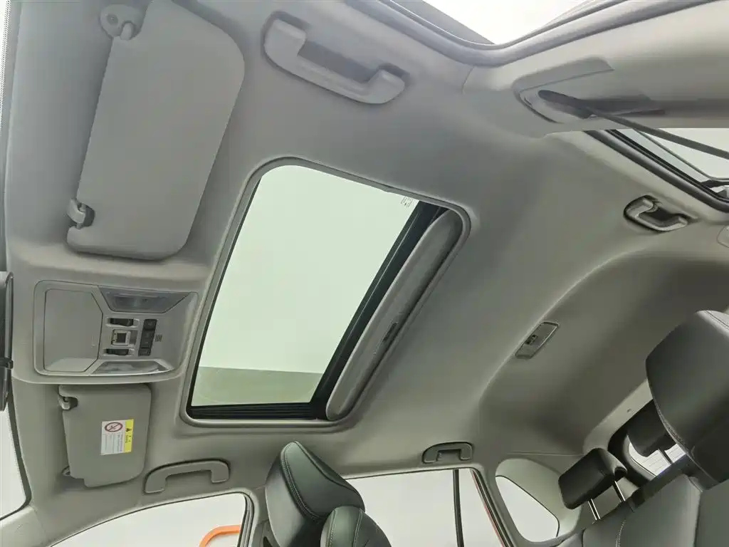TOYOTA WILDLANDER 2021