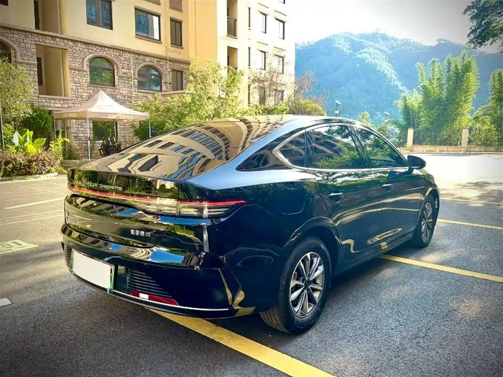 BYD DESTROYER 05 2024