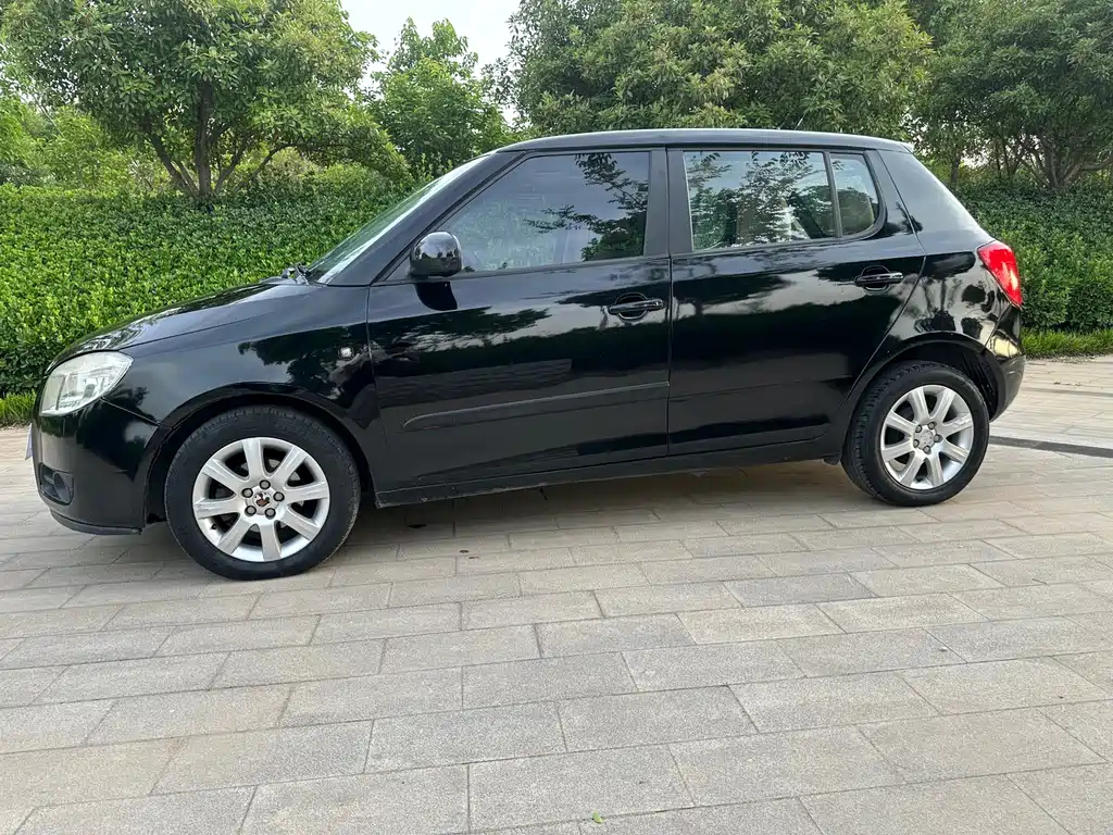 SKODA FASCIA 2009